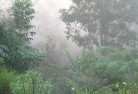 Banksia Grovebali-style-landscaping-4.jpg; ?>